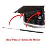 Amortecedor Tampa Motor/bagageiro Caio ônibus Todos 50 Kgf