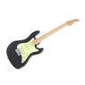 Guitarra Eletrica Sts100 Bk Strinberg
