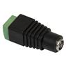 Jack P4 Com Borne Storm 10 Unidades