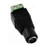 Jack P4 Com Borne Storm 10 Unidades
