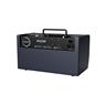 Monitor Amplificado Para Teclado Vosstorm V-kb 25