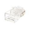 Plug Modular Rj 45 Cat6 Storm 100 Unidades