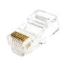 Plug Modular Rj 45 Cat6 Storm 100 Unidades