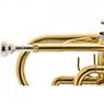Trompete Harmonics BB HCR-900L Cornet Laqueado