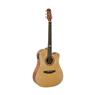 Violao Aço Sd200c Ns Folk Fosco Strinberg