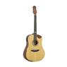 Violao Aco Sd201hcr Ns Folk Fosco Strinberg