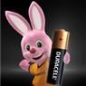 2 Pilhas Alcalinas Aaa Palito Duracell