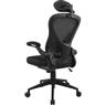 Cadeira de Escritório Ergonômica Fortrek Ergo Base Ajustável Preta