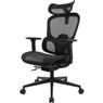 Cadeira Ergonômica Fortrek Ergo One Premium Mesh