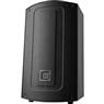 Caixa de Som JBL Max 10 Bluetooth Preto