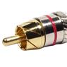 Conector Linha Rca Macho Metal Vermelho Storm 10 Un.