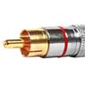 Conector Linha Rca Macho Profissional Vermelho Storm 10 Un.