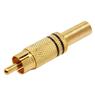 Conector Linha Rca Macho Metal Gold Preto Storm 10 Unidades