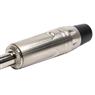 Conector P10 Macho Mono Metal Ponta Gold Storm 10 Unidades