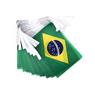 Varal de Bandeiras do Brasil Poliéster 15x20cm 10m